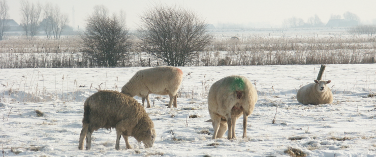 Simonsberg im Winter